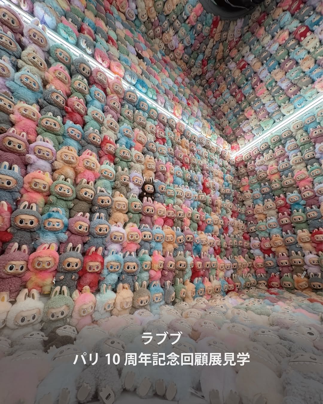 世界への切符をつかみ「フランス・パリ」へ